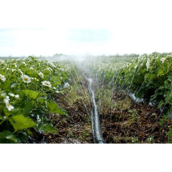 Dây tưới phun mưa phi 34mm 150M