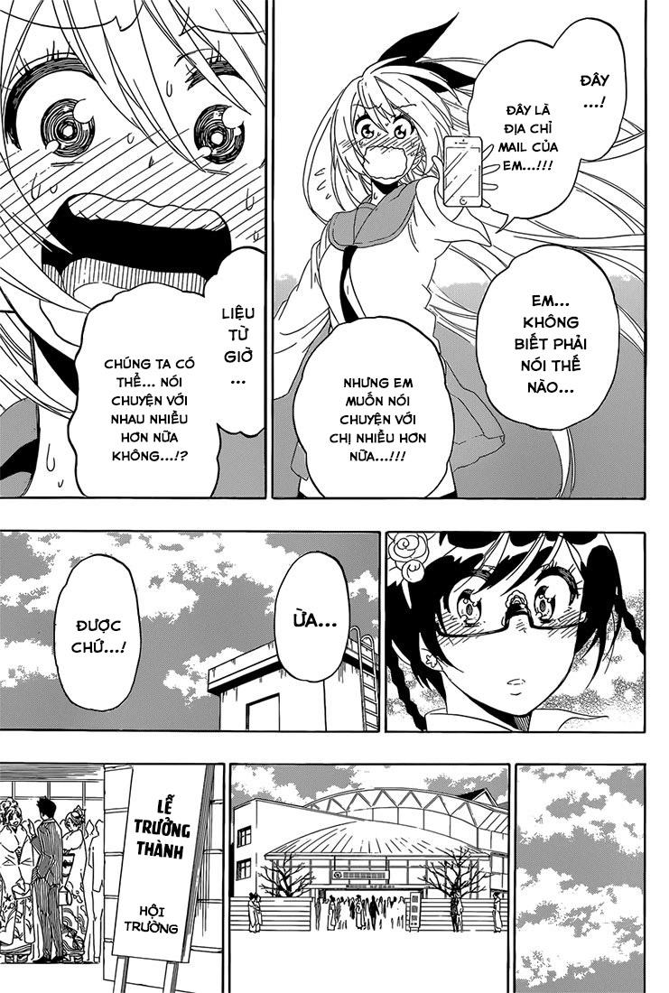 nisekoi - tình yêu giả tạo chapter 179 13