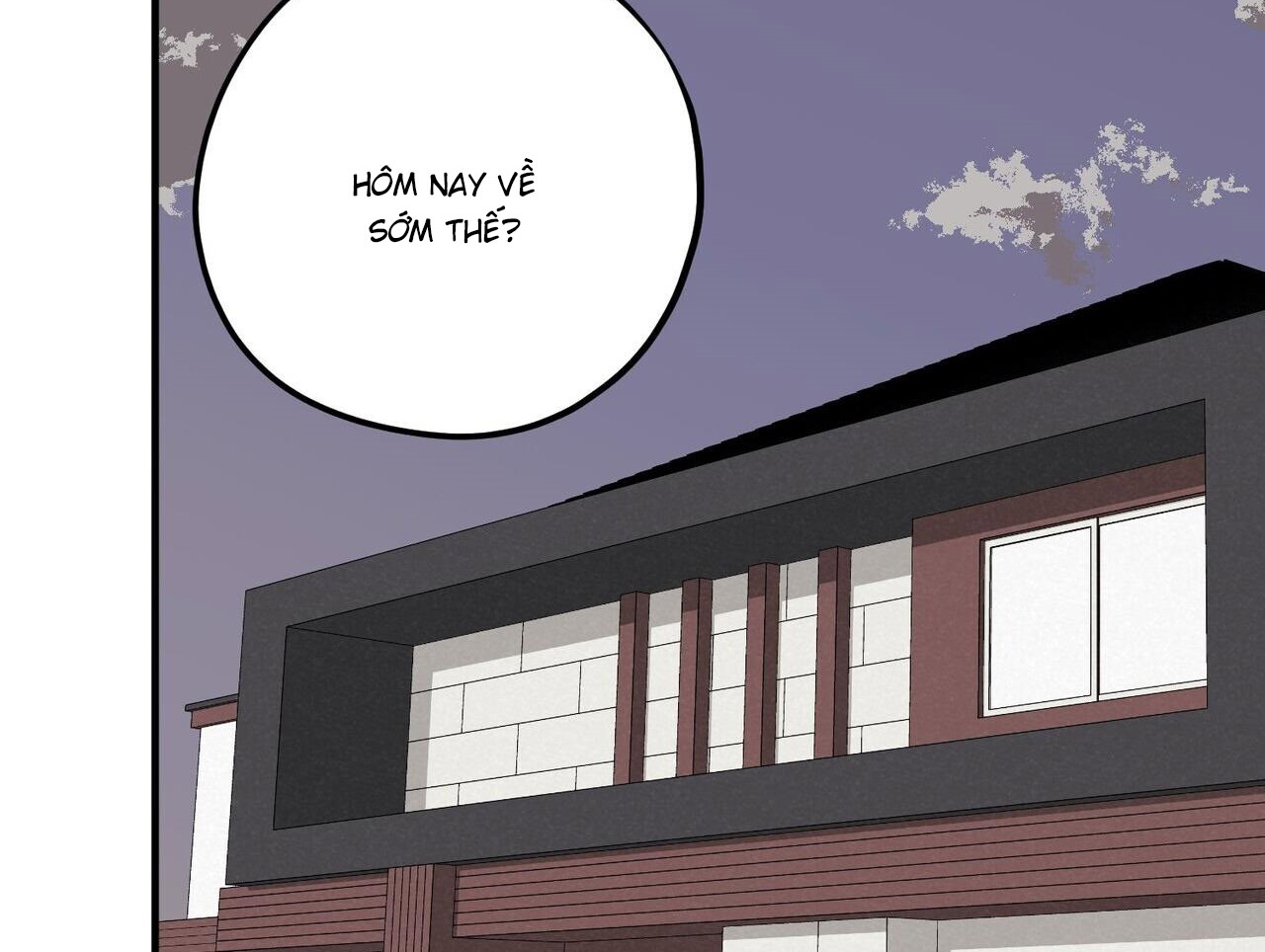 chàng dâu nhà họ kang chapter 37 148