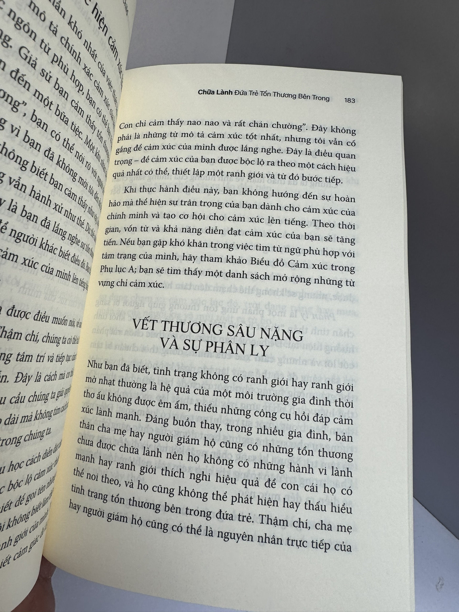 CHỮA LÀNH ĐỨA TRẺ TỔN THƯƠNG BÊN TRONG - Robert Jackman - Trần Tuyết dịch – First News – Nxb Dân Trí