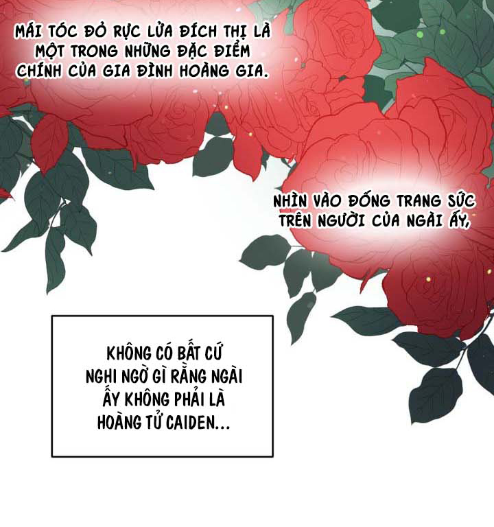 công chúa giả mạo và chú thỏ con chapter 6 23