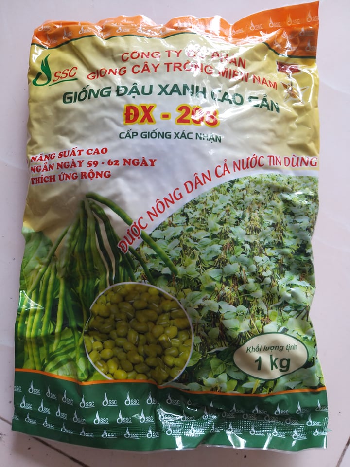 Hạt giống đậu xanh cao sản ĐX-208 công ty giống cây trồng miền nam gói 1kg