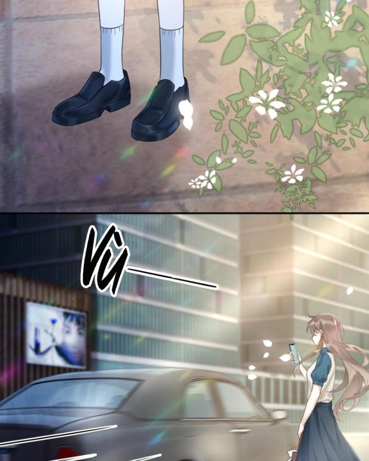 tổng tài độc sủng kiều thê thế thân [truyện chữ] chapter 3 43