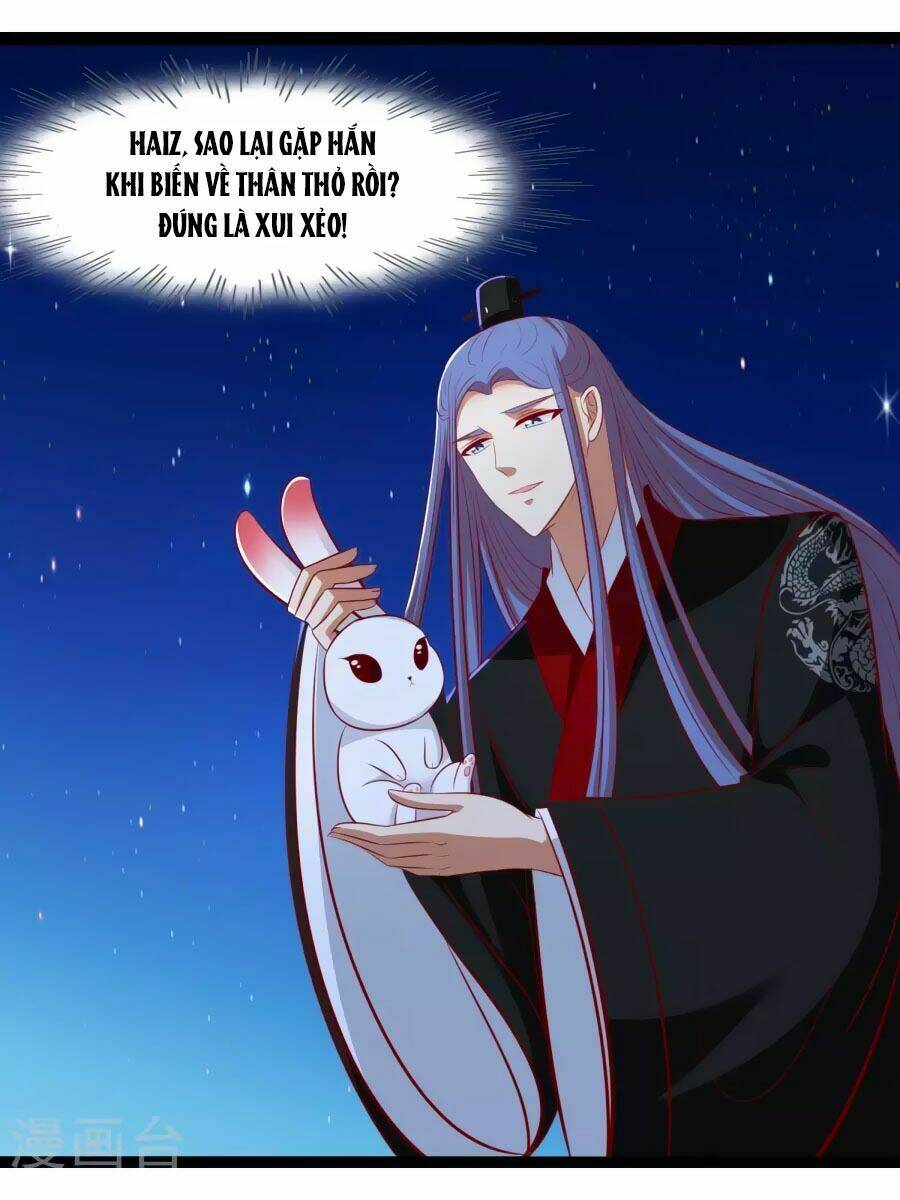thỏ yêu tiểu vương phi chapter 44 20