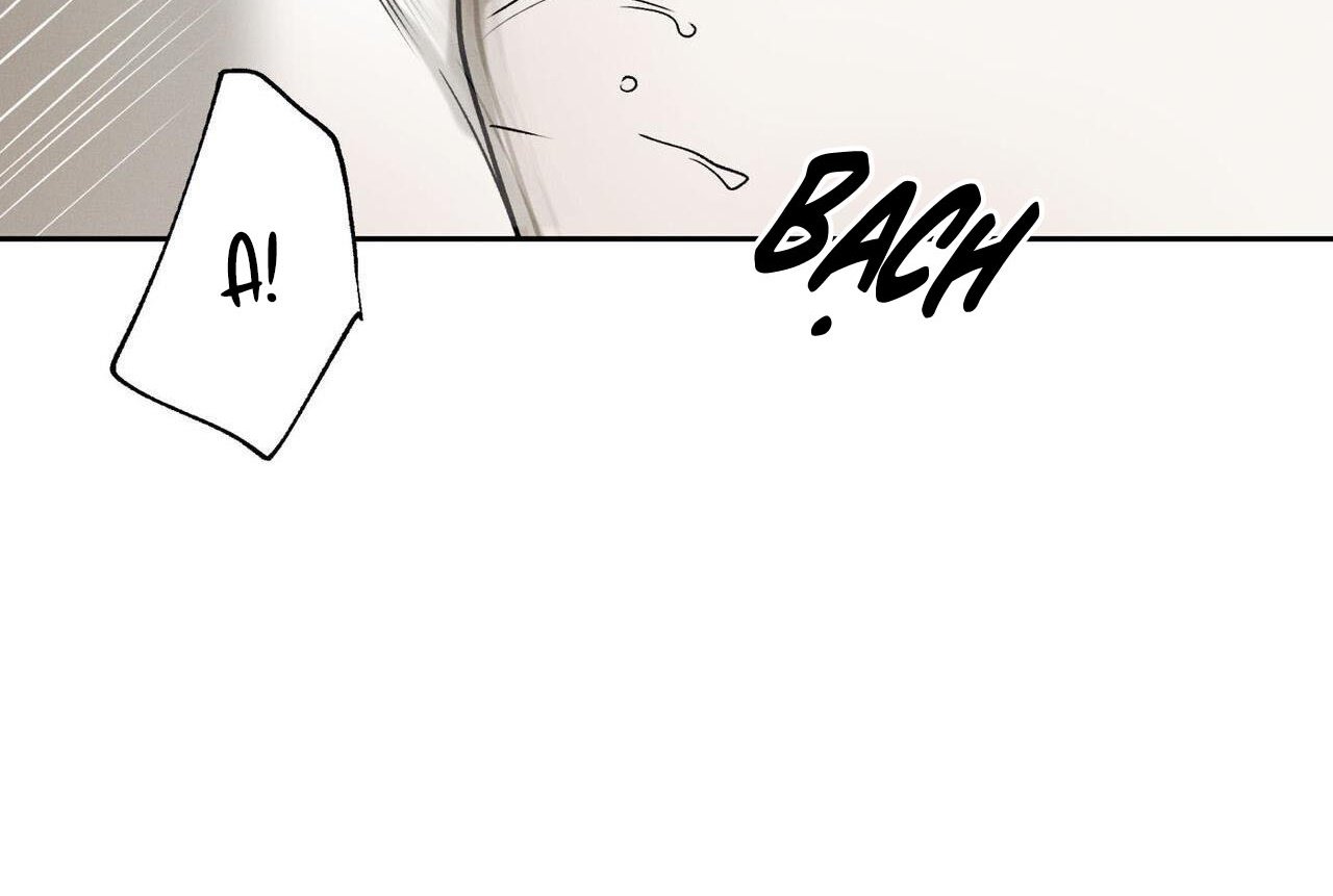 chàng giao pizza và gold palace chapter 47 34