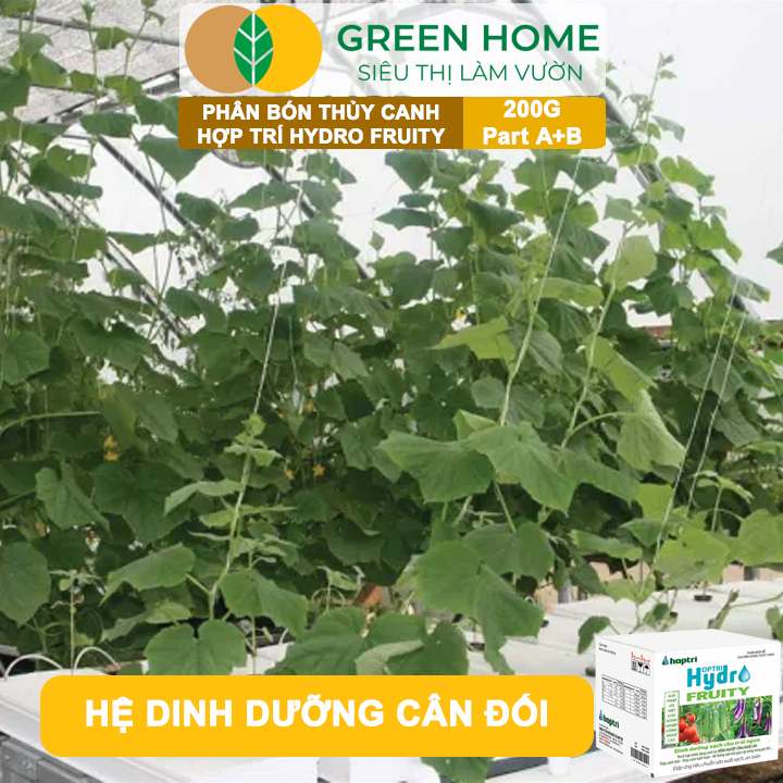 Phân bón Hợp Trí Hydro Fruity GreenHome, Hộp 200g (Part A+B), Chuyên Cho Cây Ăn Trái Trồng Thủy Canh