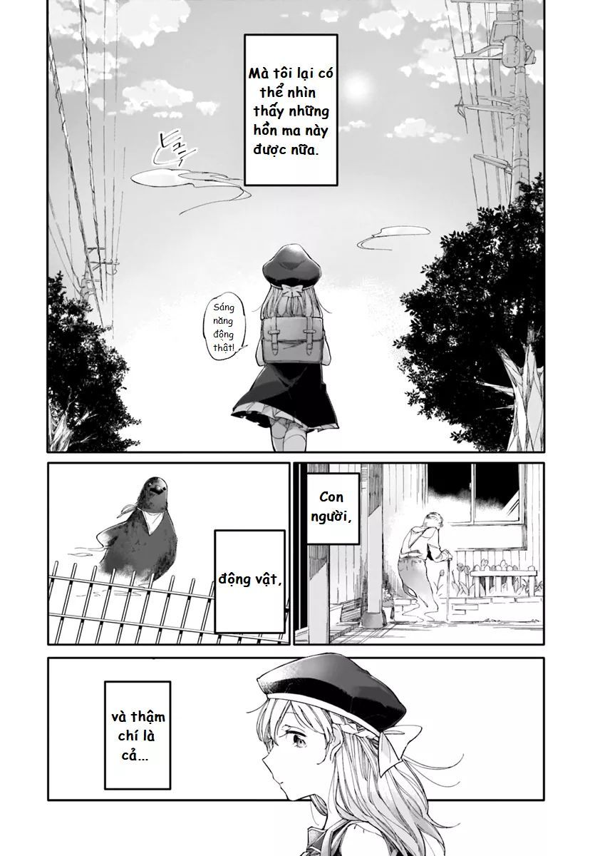 dear noman chapter 1 7