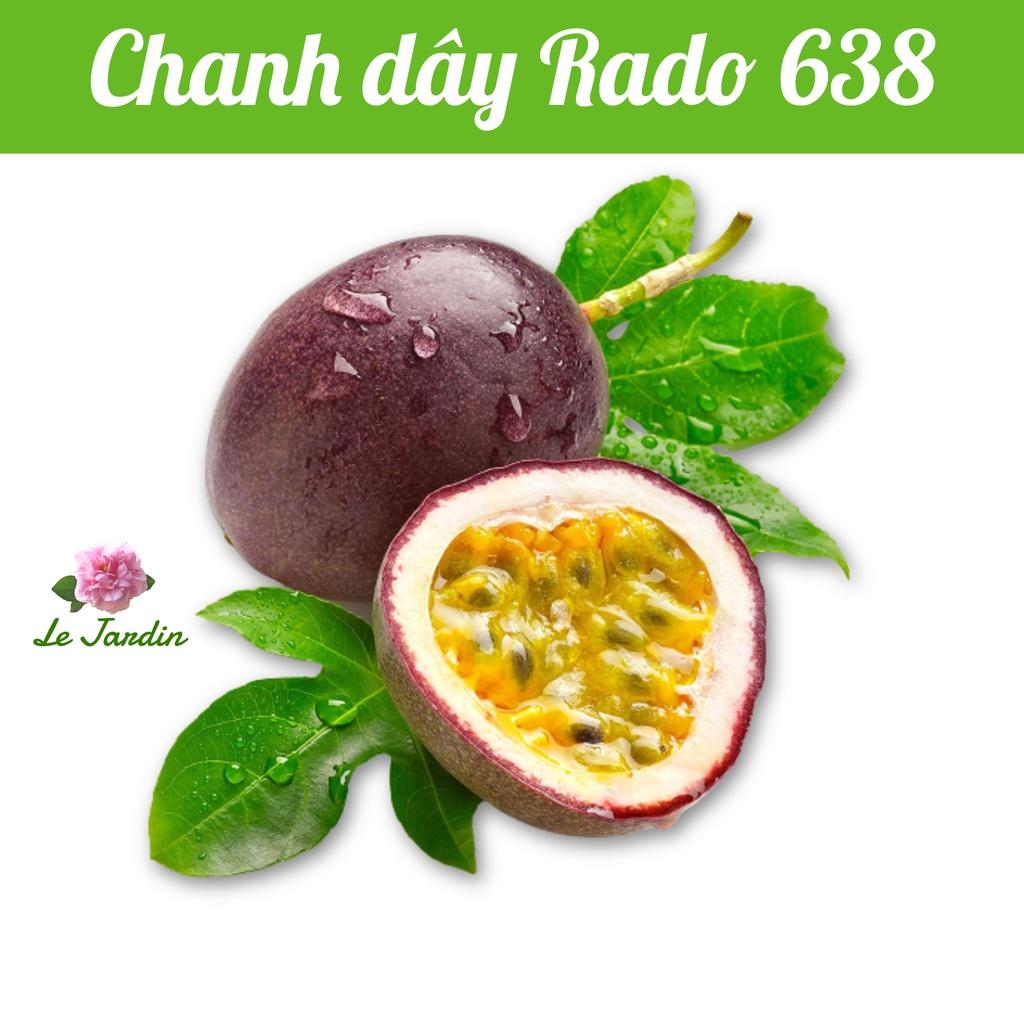 Hạt giống chanh dây Rado 638 gói 0,2gr - Trái màu tím, dễ trồng