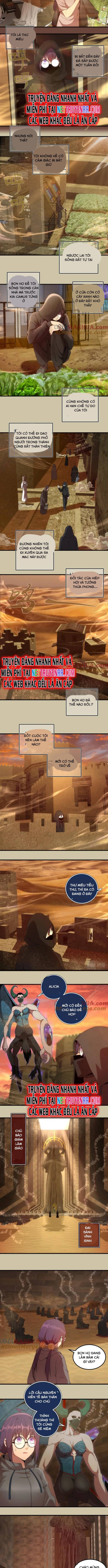 Cao Đẳng Linh Hồn chapter 232 3