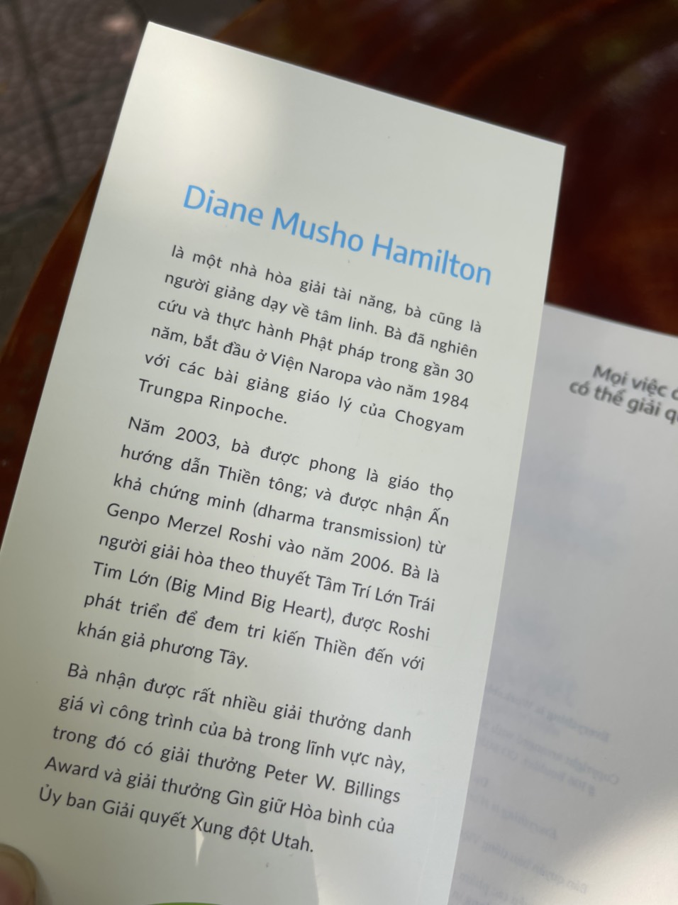 MỌI VIỆC ĐỀU CÓ THỂ GIẢI QUYẾT – Tháo Gỡ Khó Khăn Bằng Phương Pháp Thiền - Diane Musho Hamilton - Nhã Nam
