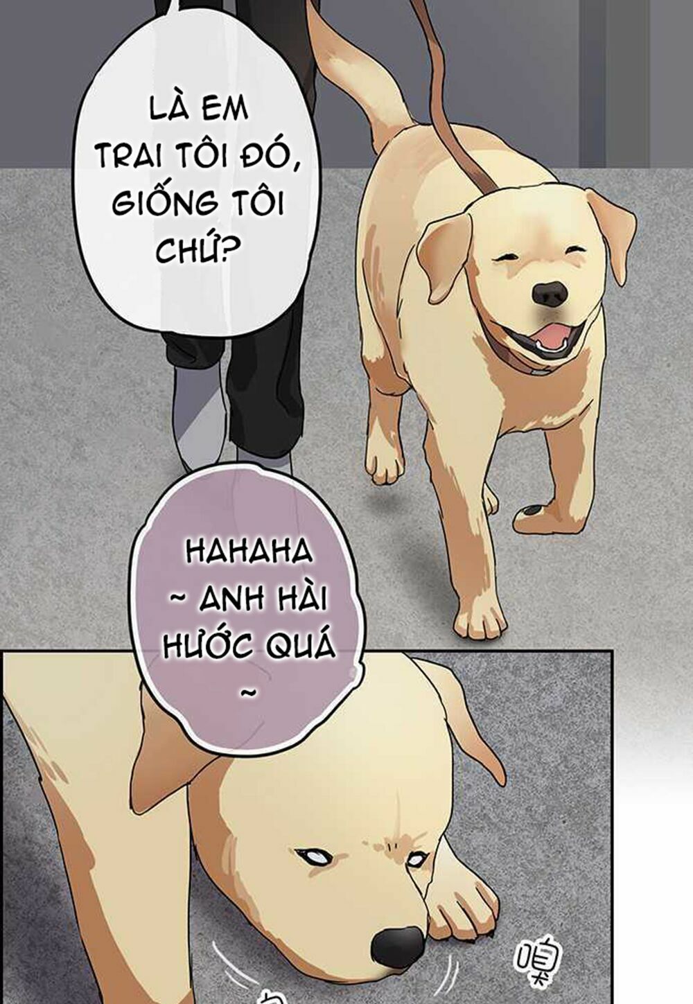 nụ hôn nguyền rủa chapter 88 11