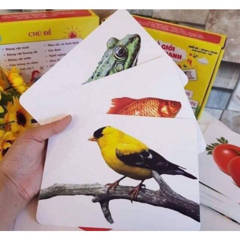 Thẻ học thông minh song ngữ Anh- Việt 15 chủ đề khổ A5 Dành cho bé từ 0-6 tuổi