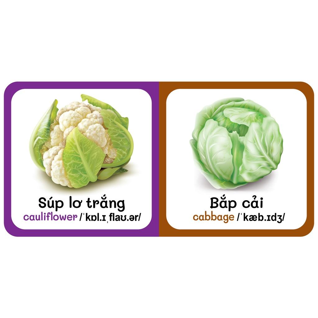 Sách - Baby'S First Picture Dictionary - Từ Điển Bằng Hình Đầu Tiên Của Bé - Rau Củ - Vegetable