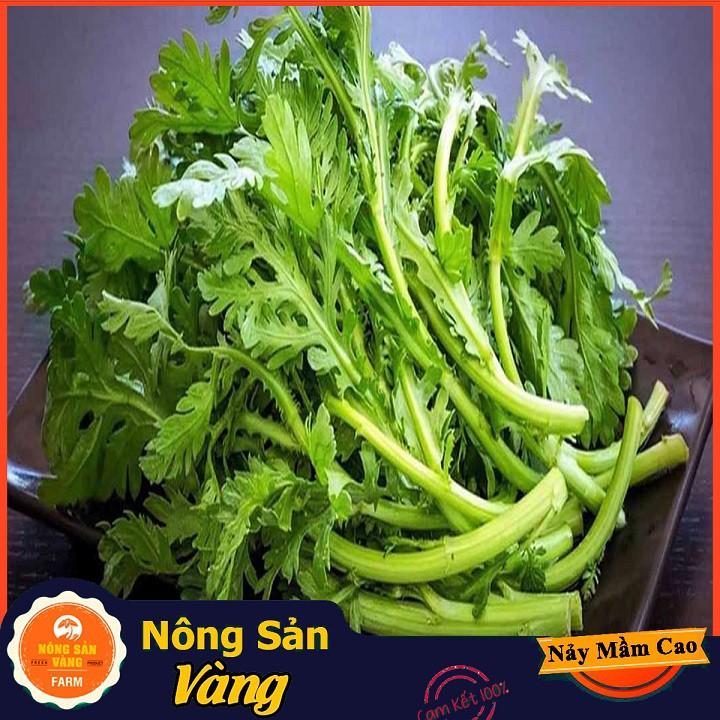 Hạt giống Rau Cúc Té , Rau Tần Ô