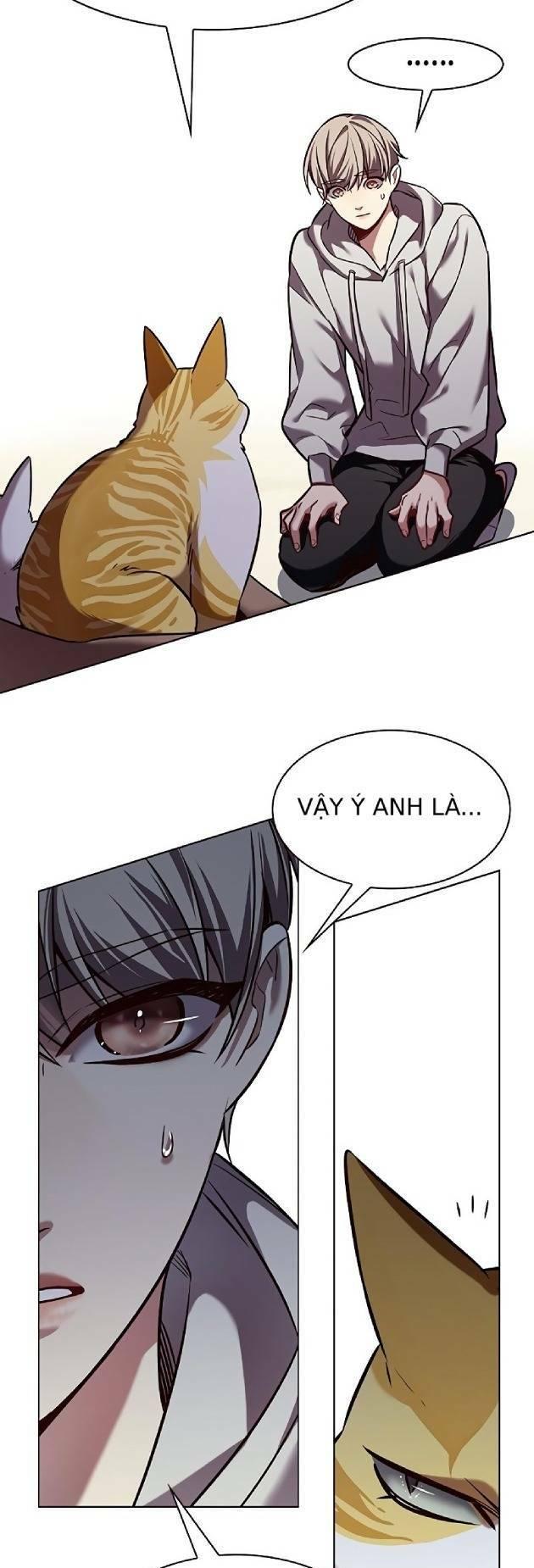 biến thân thành mèo chapter 239 41