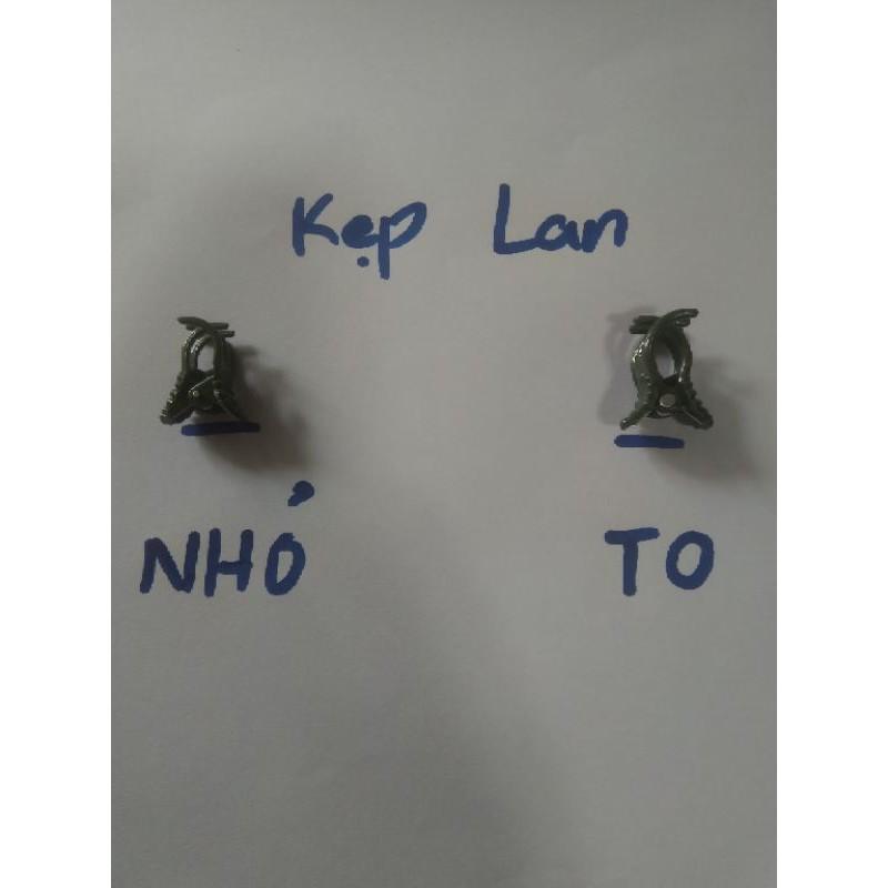 50 Kẹp Lan loại To