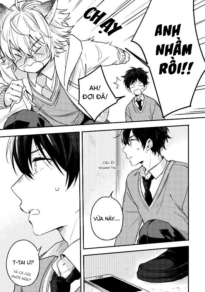 tôi muốn chạm vào tai của em chapter 1 15