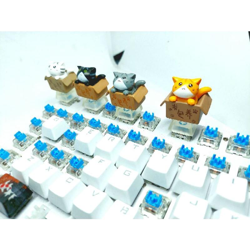 Keycap bé mèo trong hộp( cat in box) chân trong suốt