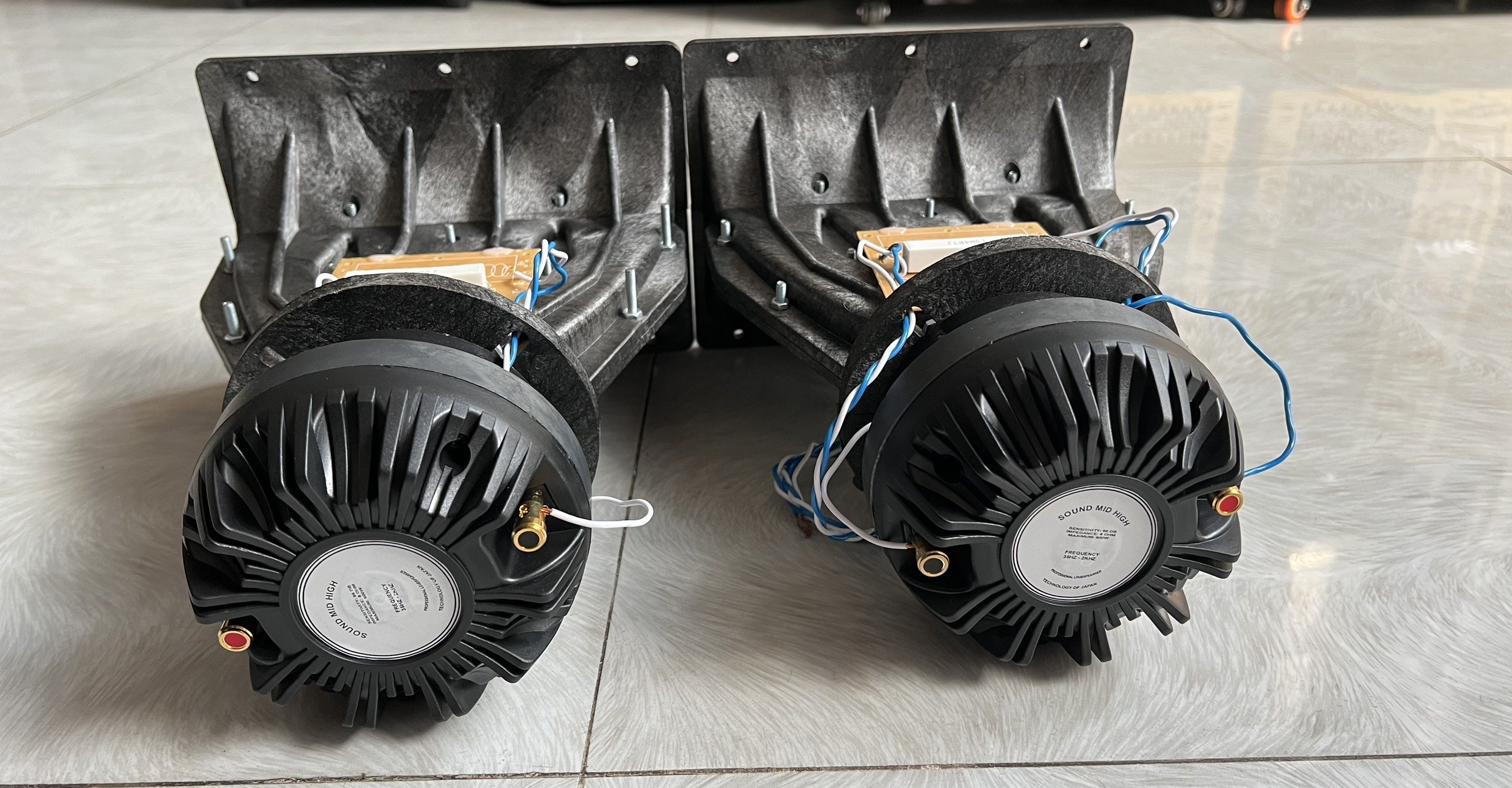 Chép Rời họng Aray củ chép 450 tiếng tí tách cực sáng và trong có phân tần Hải Triều