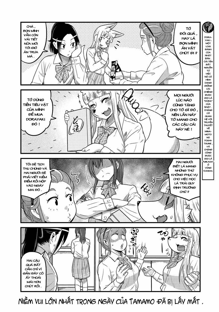 high school inari tamamo-chan ! chapter 20 7