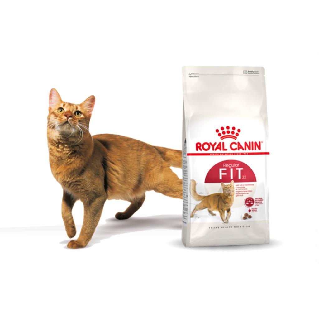 Royal Canin Fit 32 Thức ăn cho mèo bao 10 kg