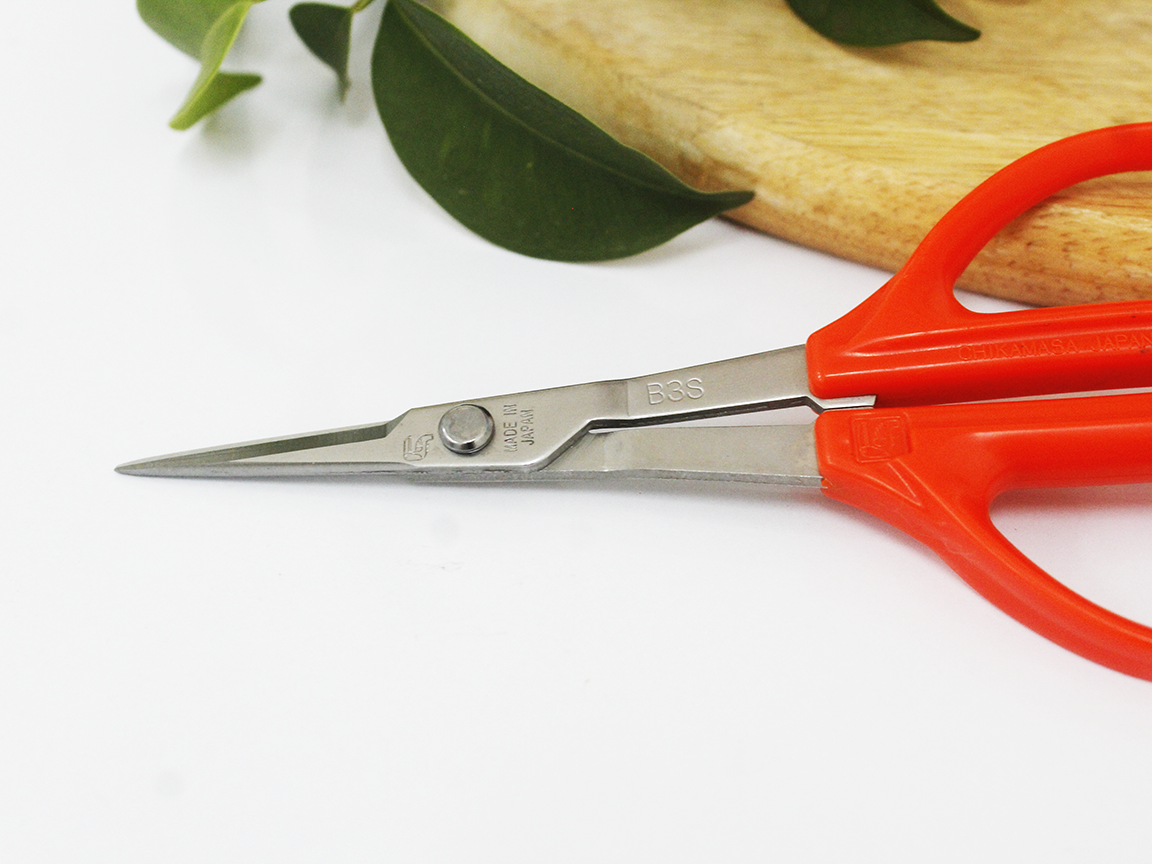Kéo cắt nho cao cấp Nhật Bản Chikamasa B-300SP