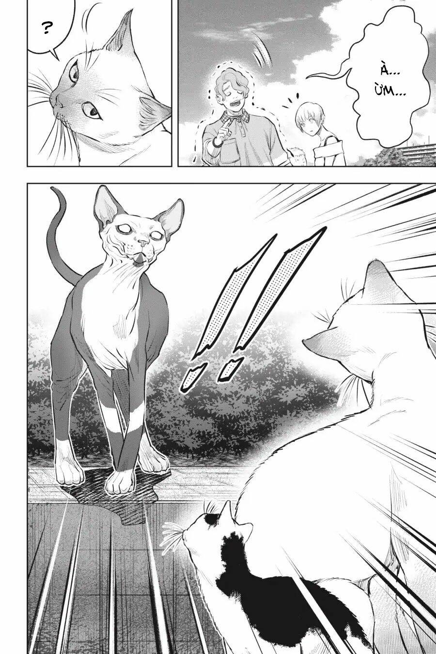 nyankees chapter 12 35