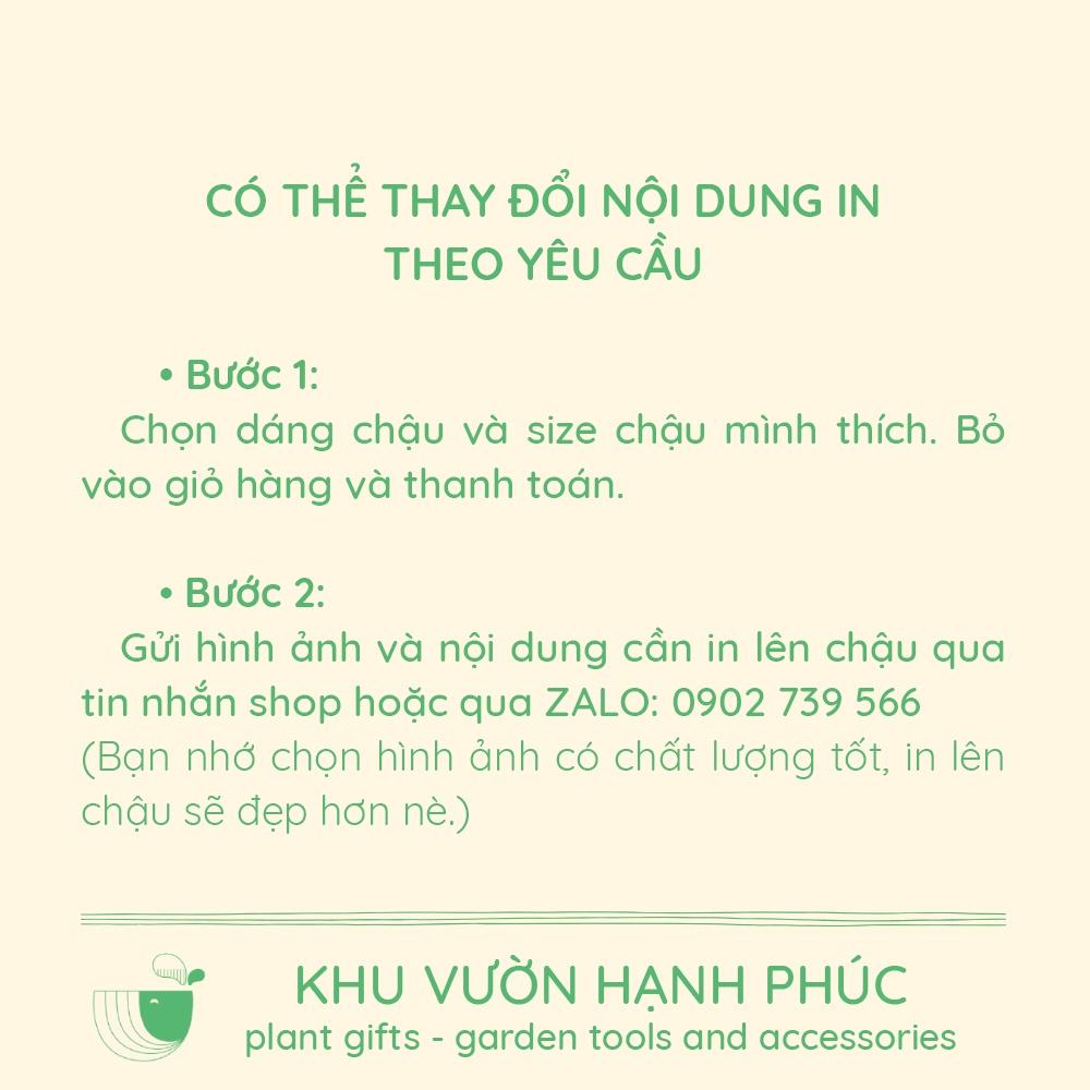 Cây Kim Tiền - Kim Phát Tài, cây để bàn văn phòng, may mắn, tài lộc (cây kèm chậu tráng men)