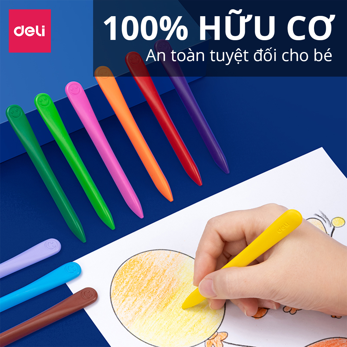 Bút sáp màu hữu cơ gấu con Deli - An toàn cho bé, không vấy bẩn tay - 12/24/36 màu - Tô màu, vẽ tranh học sinh trẻ em -  Cán tam giác dễ cầm