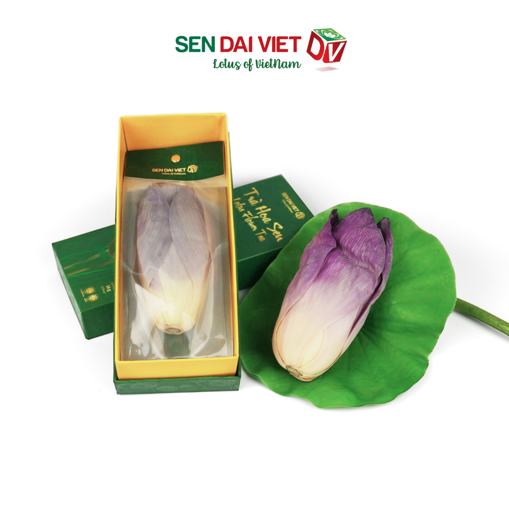 [Mua 1 tặng 2] Trà Hoa Sen Sấy Thăng Hoa- Tinh Hoa Thiên Nhiên Việt, Hộp Quà Cao Cấp, ĐV- Sen Đại Việt- Hộp 1 Bông 16g