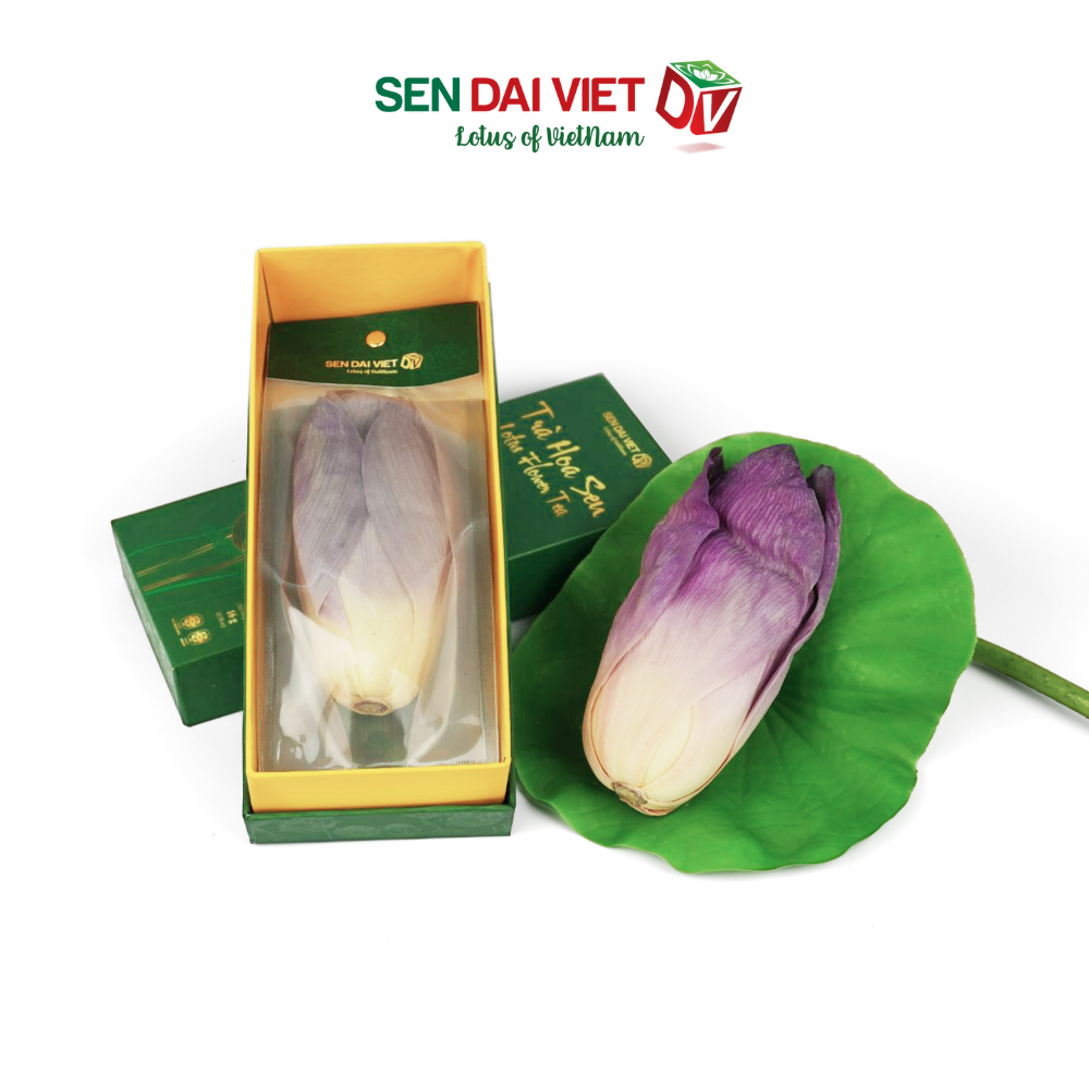 Trà Hoa Sen Sấy Thăng Hoa- Tinh Hoa Thiên Nhiên Việt, Hộp Quà Cao Cấp, ĐV- Sen Đại Việt- Hộp 1 Bông 16g