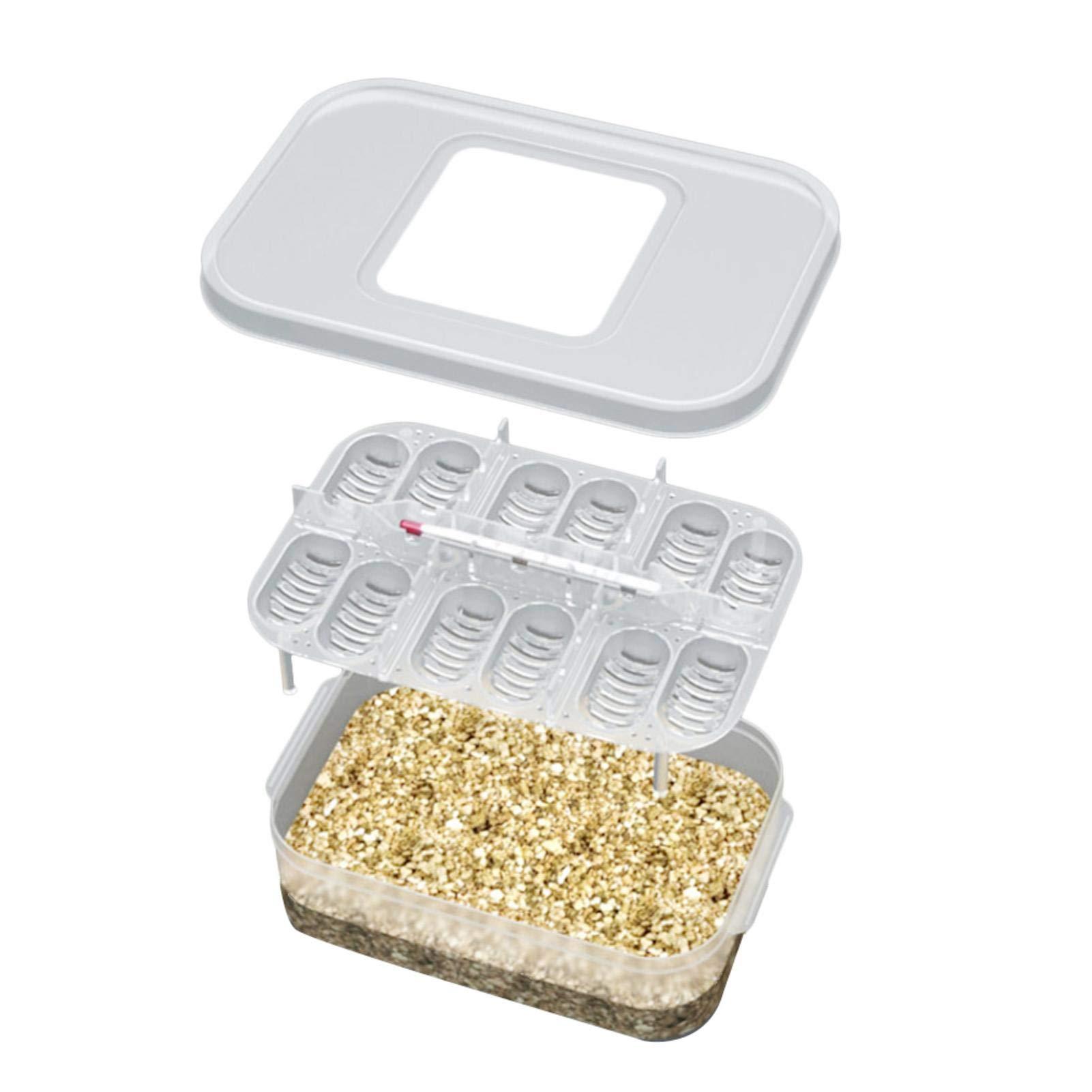 Máy Ấp Trứng Bò Sát, Trứng Bò Sát, Máy Ấp Tự Động Rùa, Chim, Thằn Lằn, Rắn, Delightful