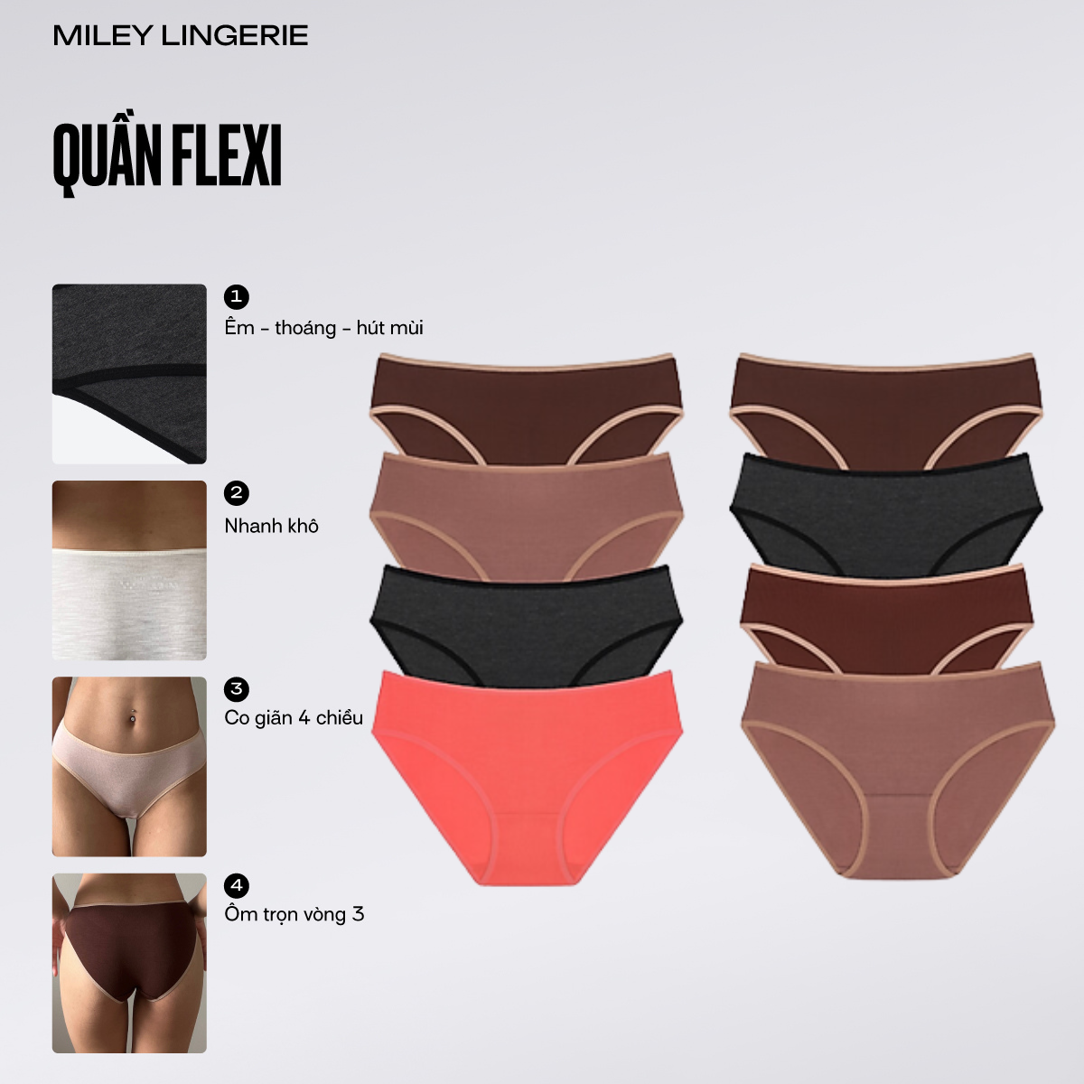 Combo 8 Quần lót nữ Flexi màu basic co giãn Miley Lingerie BCS40