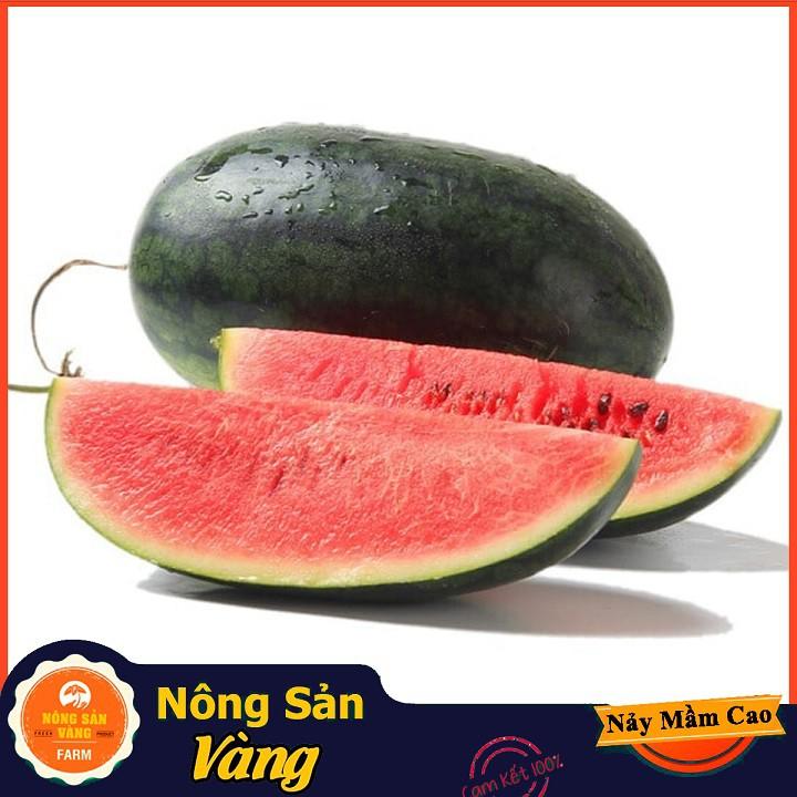 Hạt giống Dưa Hấu Hắc Mỹ Nhân