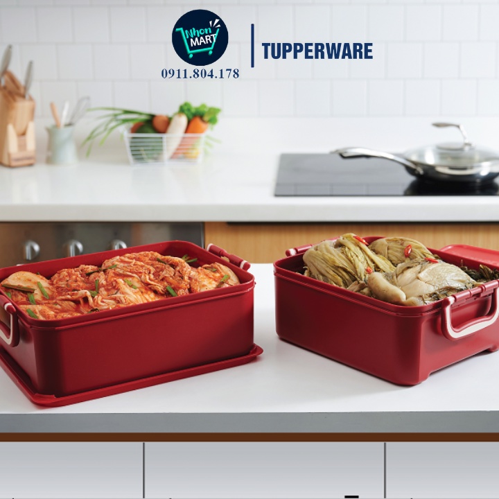 Bộ 2 Hộp Bảo Quản Thực Phẩm Ngâm 5.5 lít / 6.9 Lít