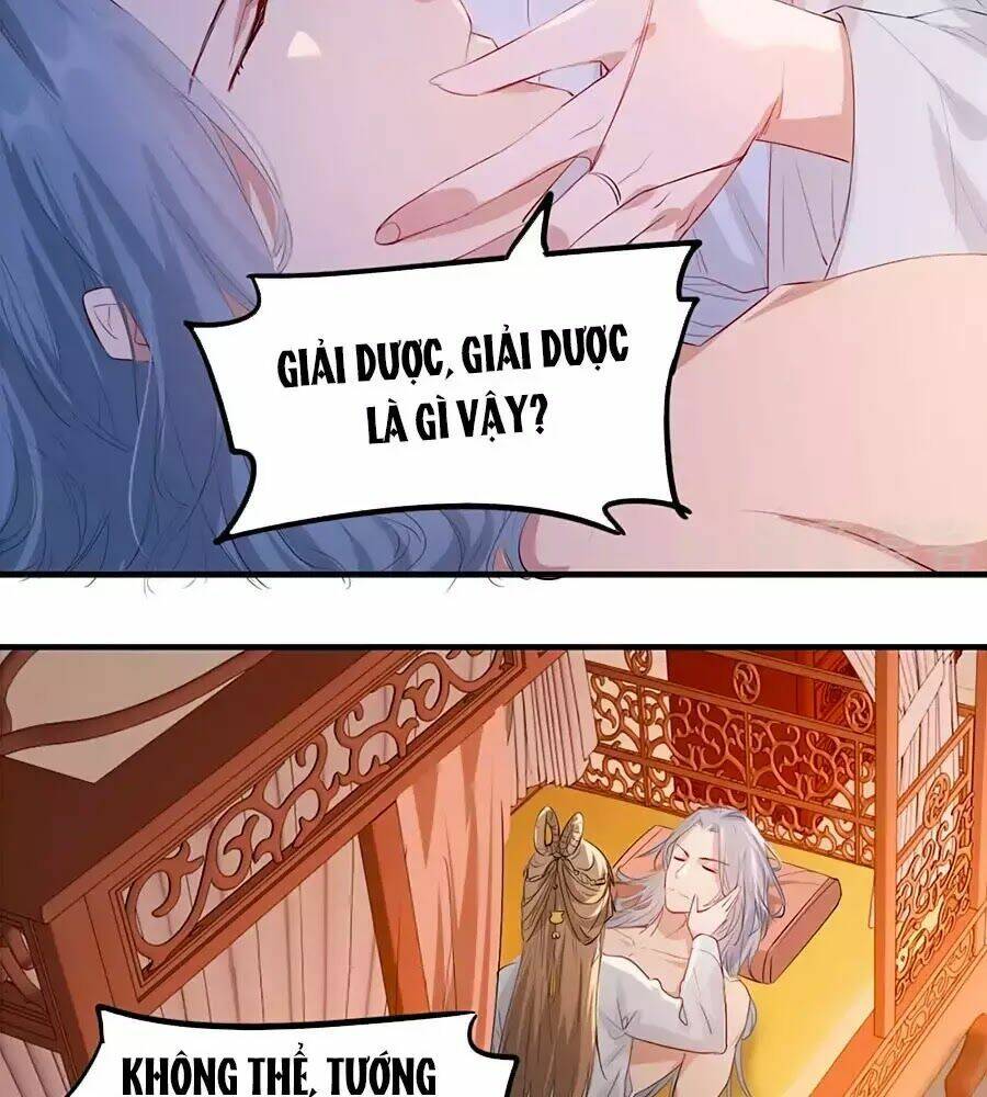 gian phi như thử đa kiều chapter 63 48