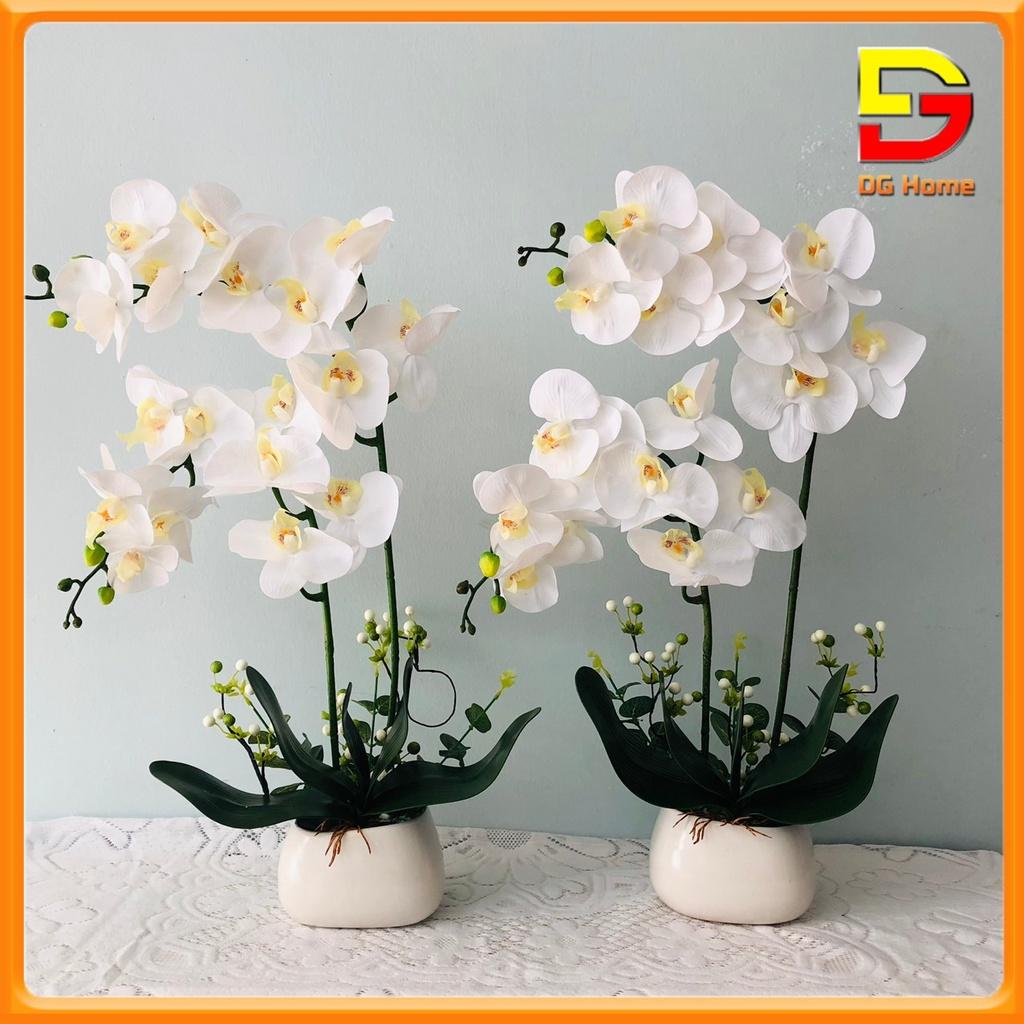 Bình Hoa Lan Hồ Điệp Cao Cấp - Chậu Hoa Giả Để Bàn Phòng Khách Cao 60cm Trang Trí Nhà Cửa Sang Trọng DH-25