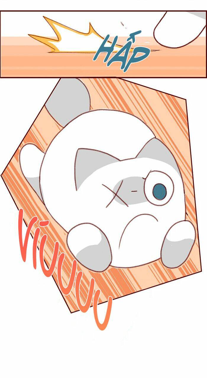 saphie: chú mèo một mắt chapter 3 13