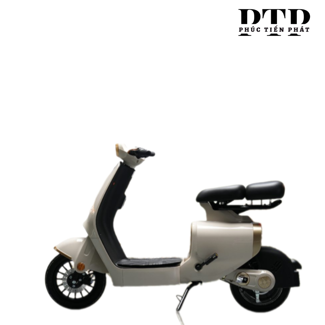 XE ĐẠP ĐIỆN DK S1