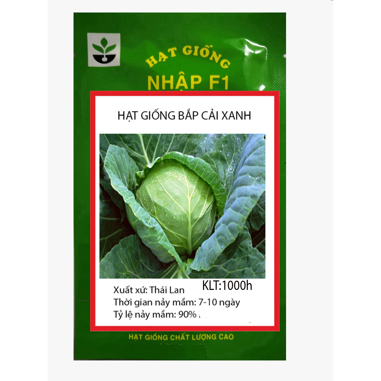 Gói 1000 hạt giống bắp cải xanh