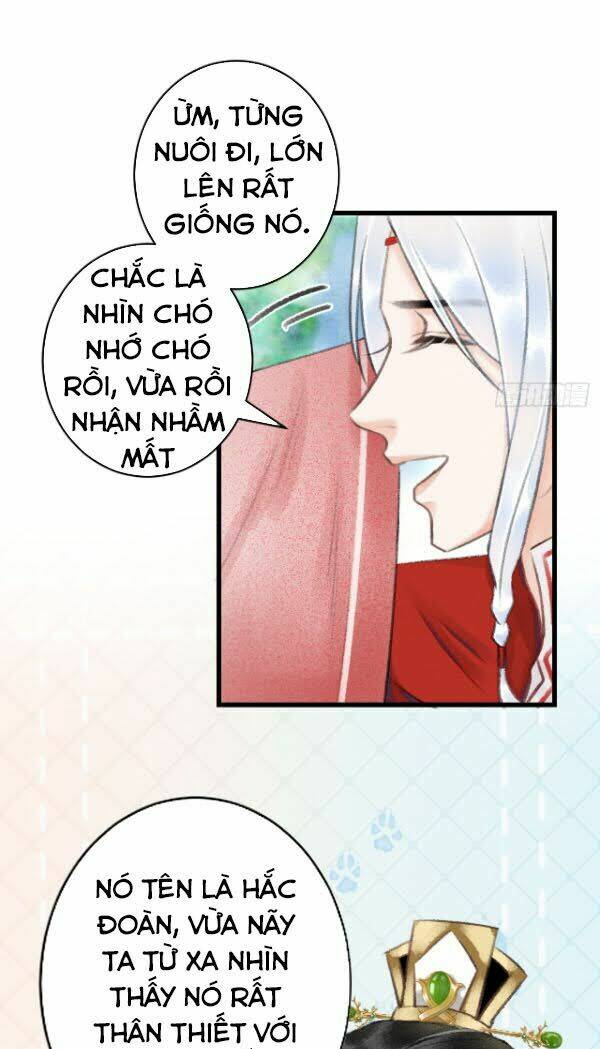 tuần tuần thiện dụ chapter 6 4