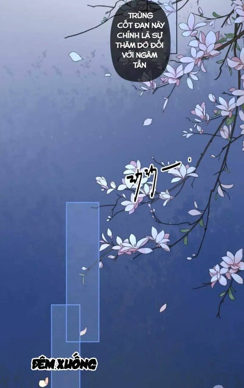 sủng phi của vương chapter 151 8