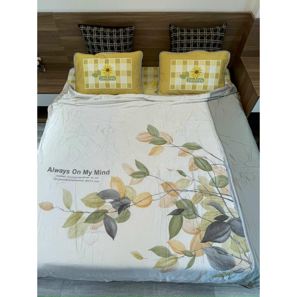 CHĂN LẠNH TENCEL CAO CẤP SIÊU MỀM, SIÊU MÁT