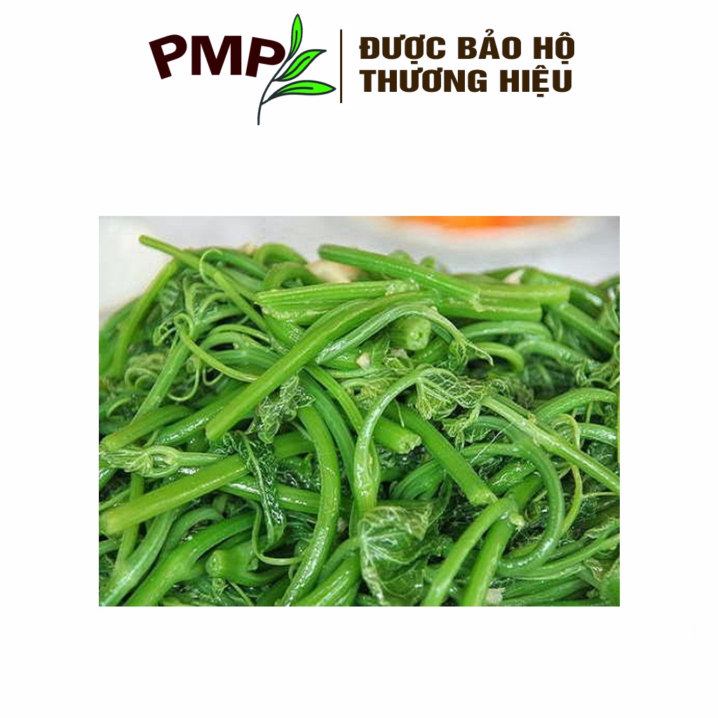 Hạt Giống Bí Siêu Ngọn PMP
