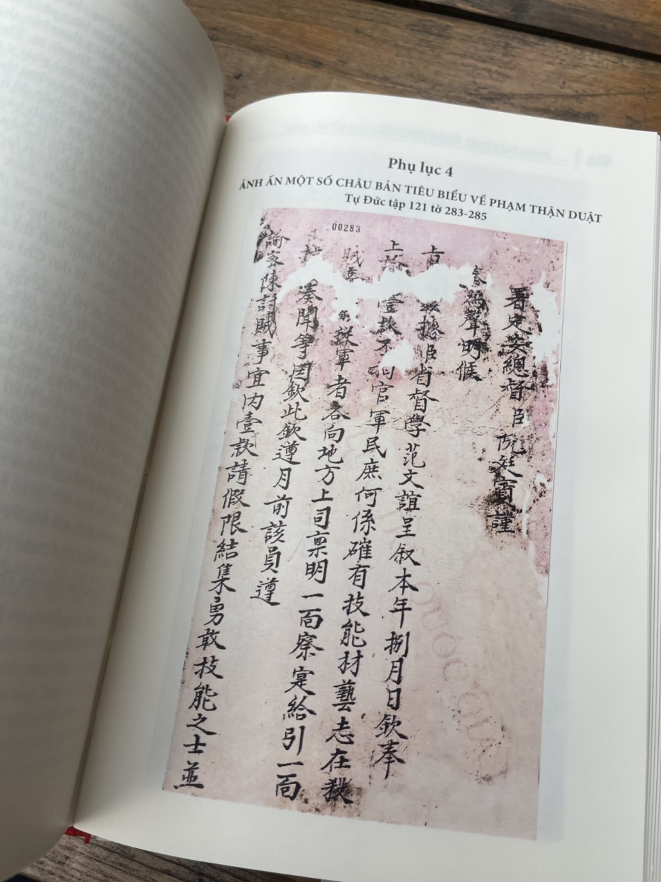 PHẠM THẬN DUẬT TRONG DÒNG CHẢY LỊCH SỬ VIỆT NAM - PGS.TS. Nguyễn Thanh Tùng, TS. Vũ Đức Liêm, ThS. Phạm Thị Thanh An biên soạn - Nxb Khoa Học Xã hội