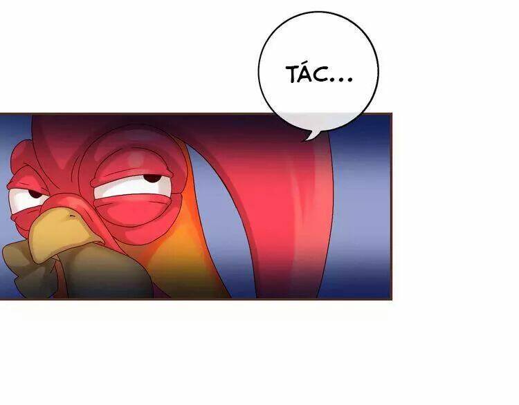 thực luyến kỳ duyên chapter 29 61