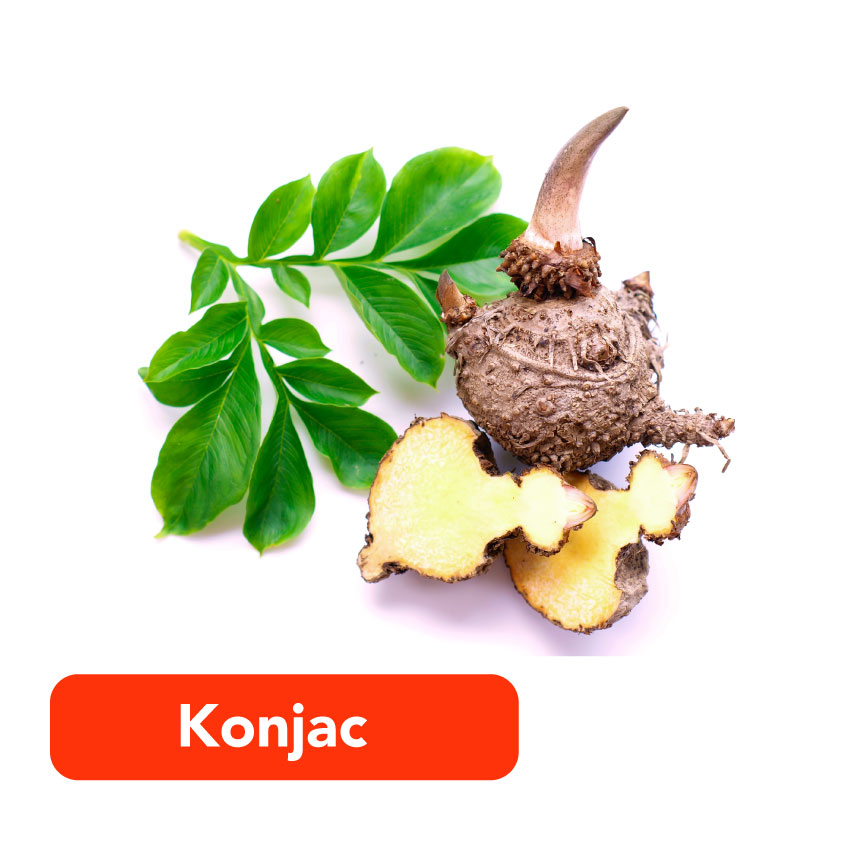 Combo 2 Hộp Viên Uống IngreLife Chiết Xuất Khổ Qua Rừng, Điều Chỉnh Đường Huyết, Điều Hòa Glucose Bitter Gourd Sugar Regulating - 120 Viên
