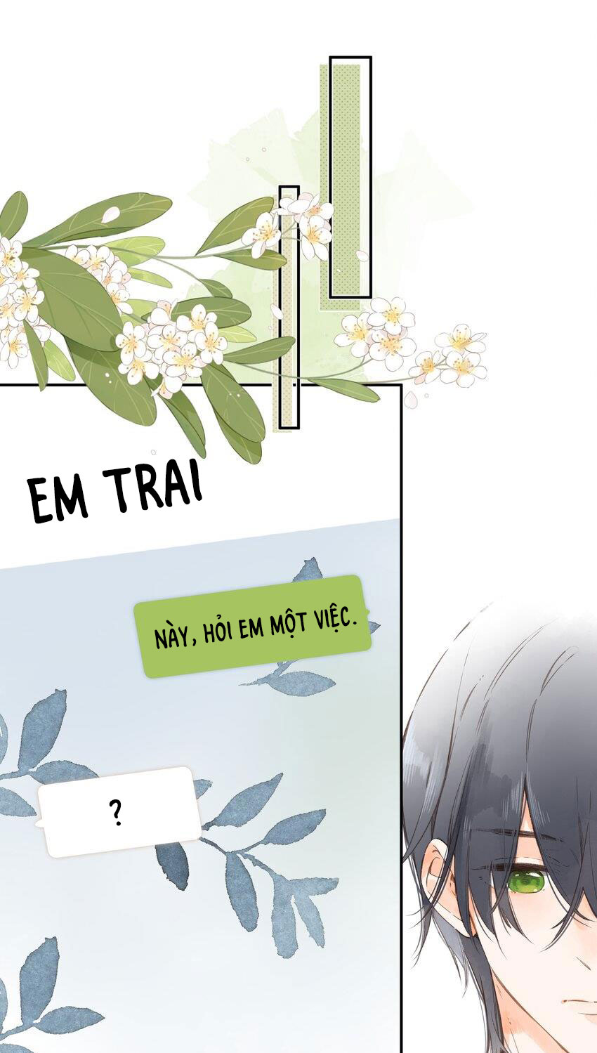 tiệm hoa hướng dương ở góc phố chapter 6 11