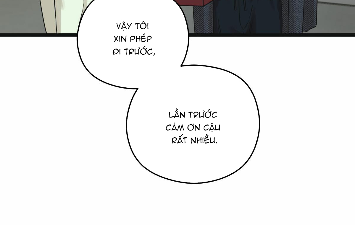 tương phùng chapter 11 146