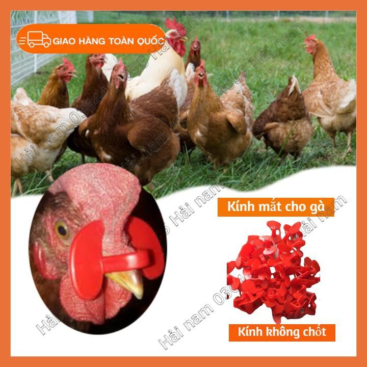Kính mắt cho gà - Kính đeo mắt cho gà tránh mổ nhau